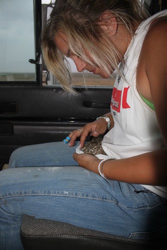 SO-St. Francis, Kan.