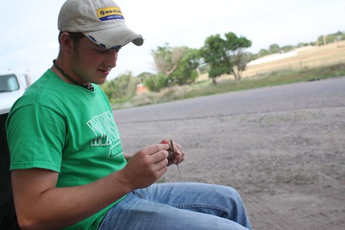 SO-St. Francis, Kan.