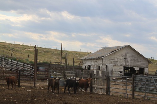 SO-St. Francis, Kan.