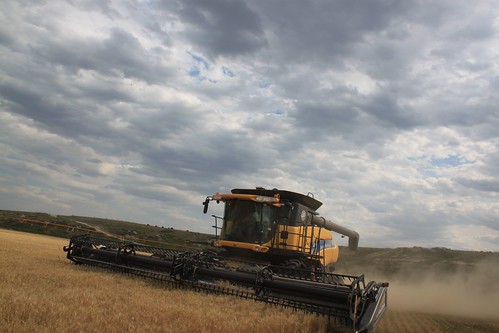 SO-St. Francis, Kan.