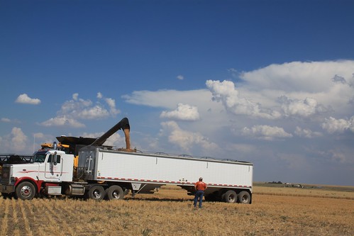 Brandon unloads while Dad looks on.