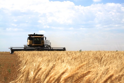 Combining right by the Colorado and Kansas border.