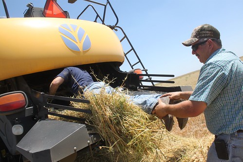 Dad giving Brandon a hand.