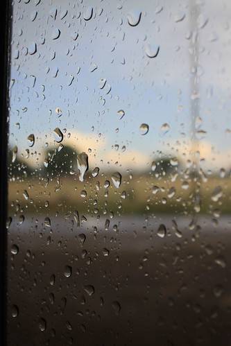 A beautiful and well-deserved rain.