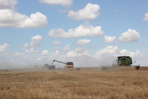 Z Crew: Crews in the Field