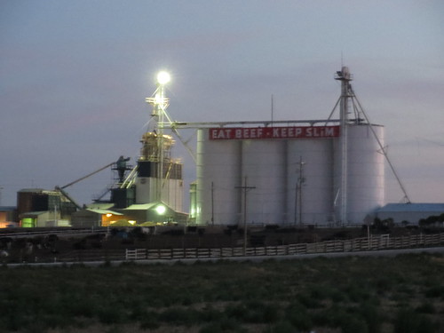 Z Crew: Eat Beef Keep Slim