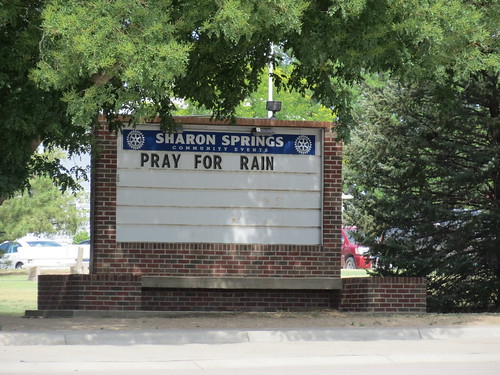 Z Crew: Pray for Rain