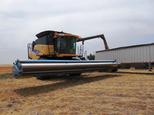 Stripper header lifted up