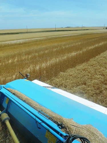 Stripper header from cab