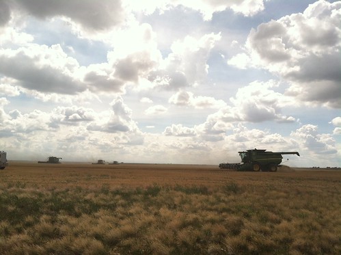 Z Crew: Making Rounds