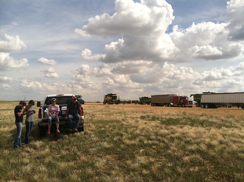 Z Crew: Opening a New Field