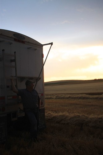 Dad hanging out with Petey while watching the harvest action.