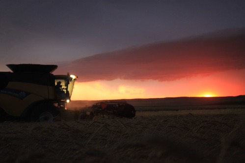 Brandon trying to race the rain.