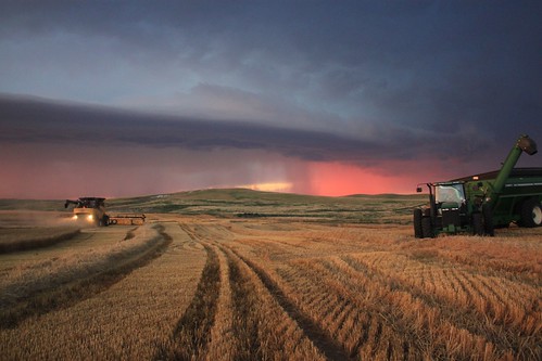 Those clouds sure look pretty, I must say.