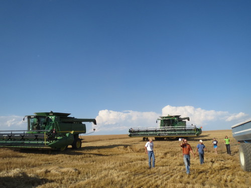 Z Crew: Help to the Rescue