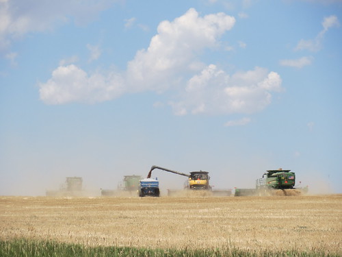 Z Crew: Backside of the Machines