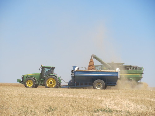 Z Crew: Dumping on the Grain Cart