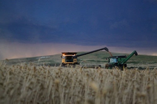 Right before the rain came!