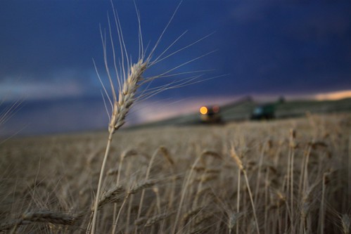 Unloading on the go.