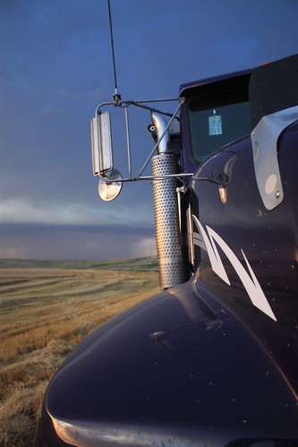 Purple, lookin' good at dusk.