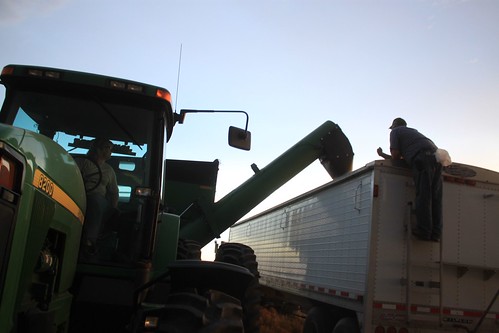 If this isn't mom and dad bonding, I don't know what is.