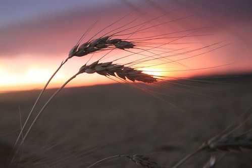 Yes I know, more sunsets...