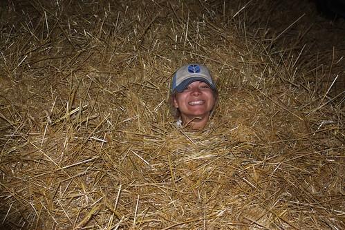 Rather than sand on a beach, we use straw in a wind row!