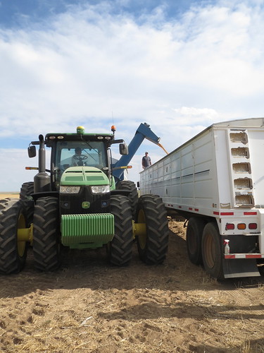 Z Crew: Watching the Load