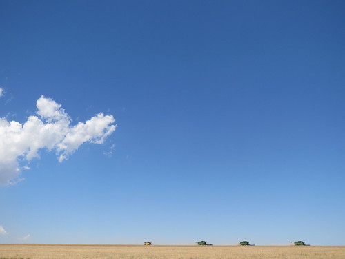 Z Crew: Combines Cuttin' in a Staggered Line