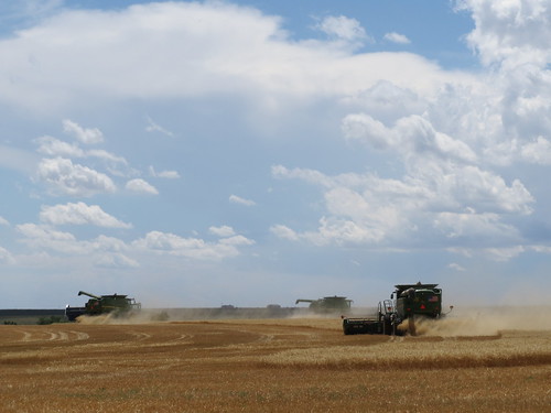 Z Crew: Cutting Before the Rain