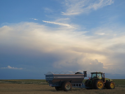 Z Crew: Storm Moving In