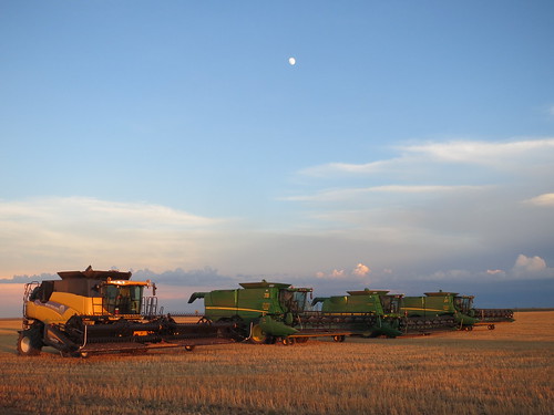 Z Crew: Parked for the Night