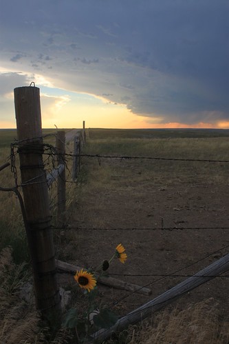 More storm clouds rolling in.