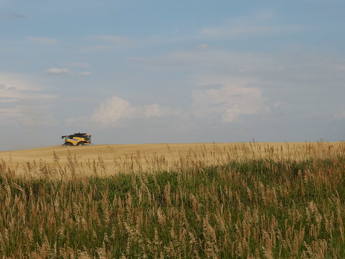 View from the road of the CR 9060 and stripper header