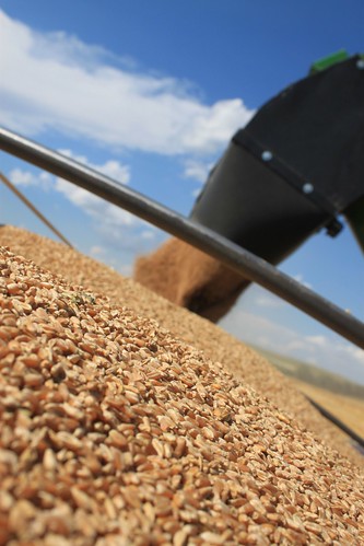 Loading up Big Purple.