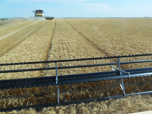 Tracks of the sprayer