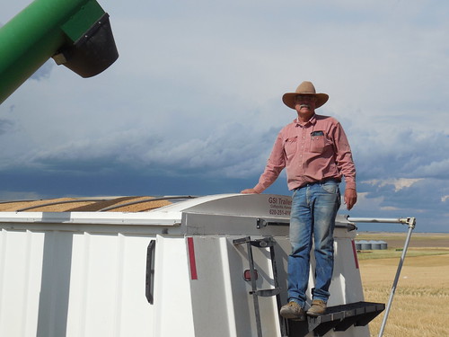 Uncle Carl watching the grain cart unload