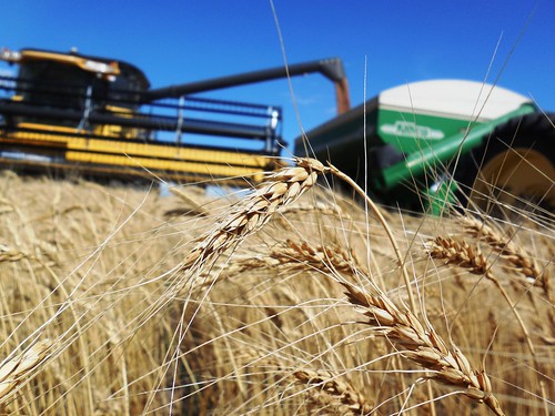 Unloading in the distance