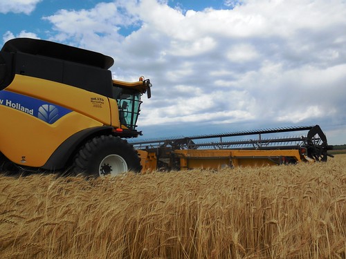 CR cutting in the wheat