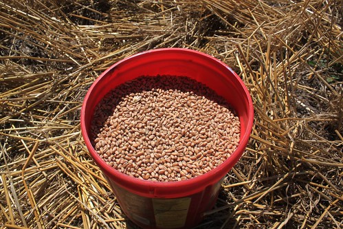 Our sample. 13.4% moisture, good to go!