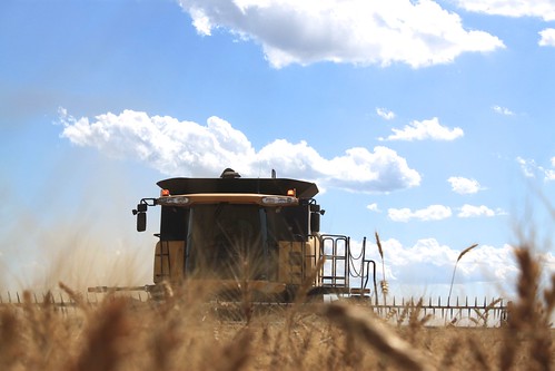 Brandon in the combine.