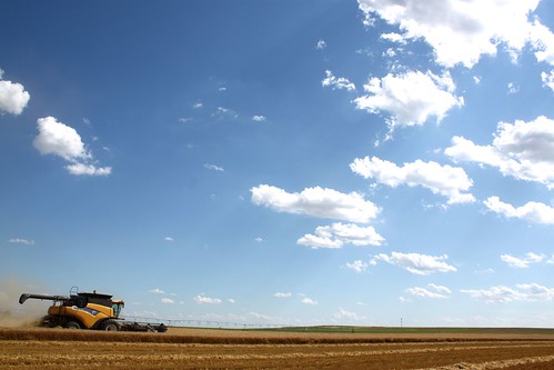 Beautiful blue sky was welcomed after the days of cloud cover.