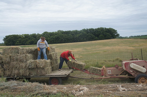 Emma: hay ride