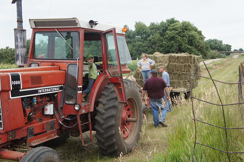 Emma: hay ride