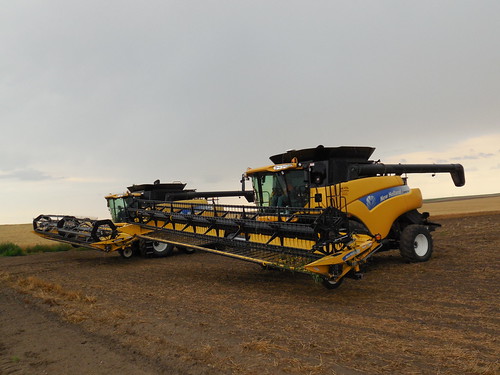 Tilting headers in the rain