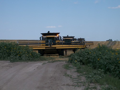 3 combines on the move