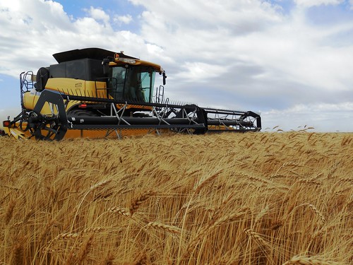 Cutting away with blue skies