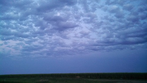 Emma: waitin' on rain