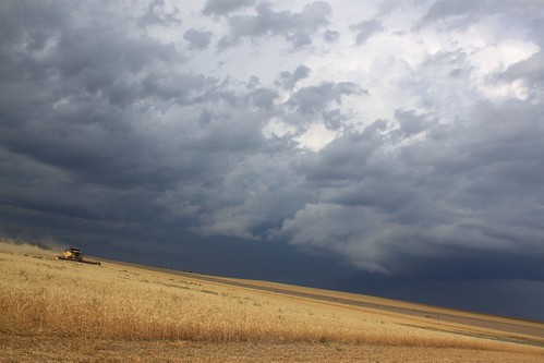 Attempting to beat the storm. Not too successful though, unfortunately.