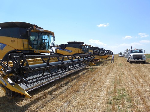 All lined up to service